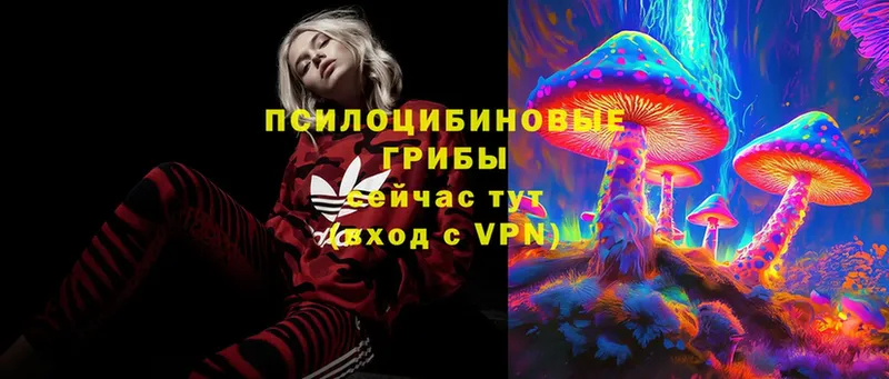 Галлюциногенные грибы Magic Shrooms  Власиха 